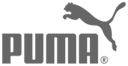 demo_logo_puma